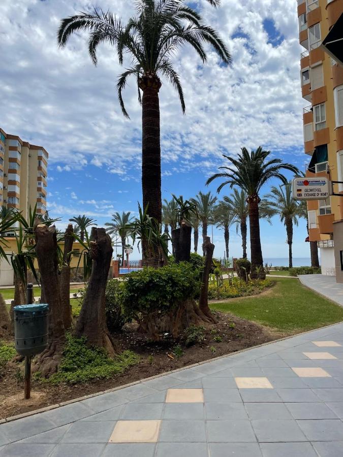 Palmenstrand *